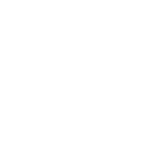 Parceiro 11