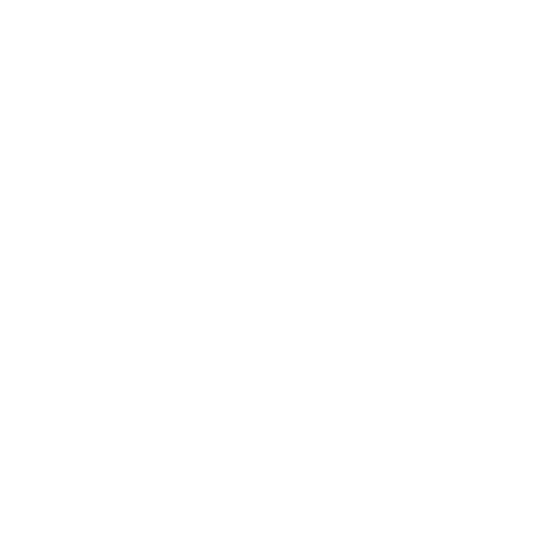Parceiro 12